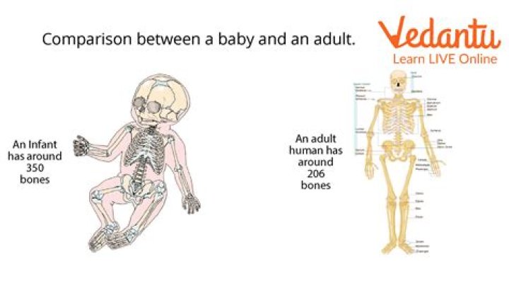 Are babies naturally warmer than adults?