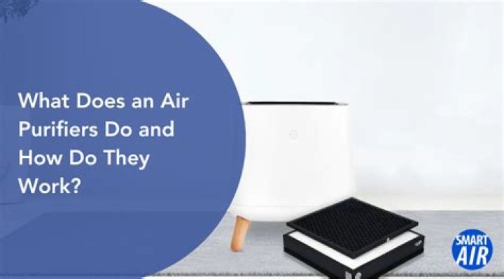 Does an air purifier really work?