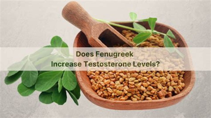 Does fenugreek increase testosterone levels?