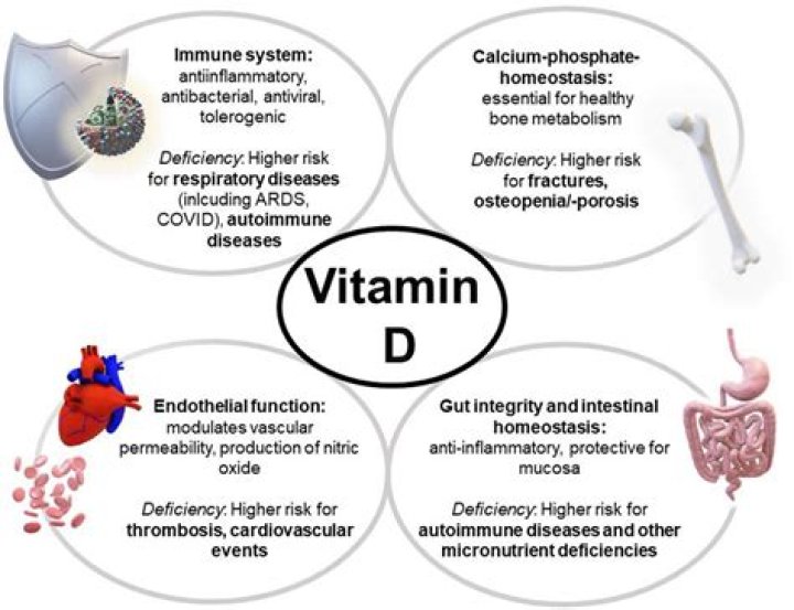 Does vitamin D affect tinnitus?