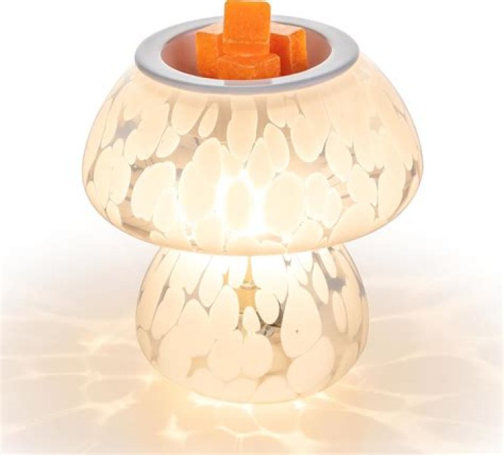 Has Scentsy ever been sued?