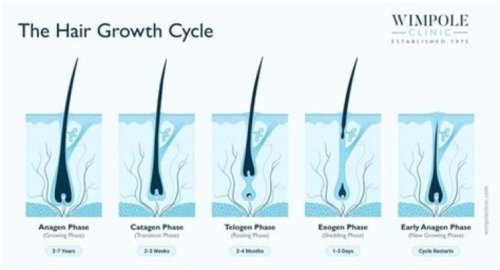 How can we make our hair silky?