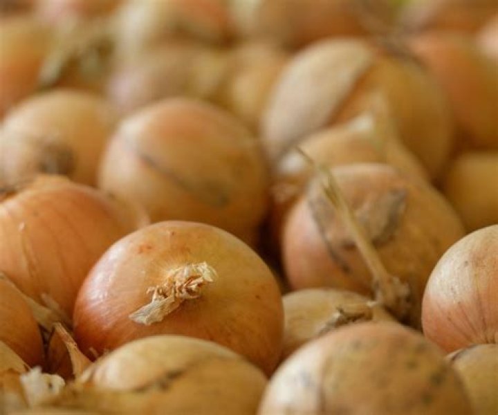 Should onions be cooked before putting on pizza?
