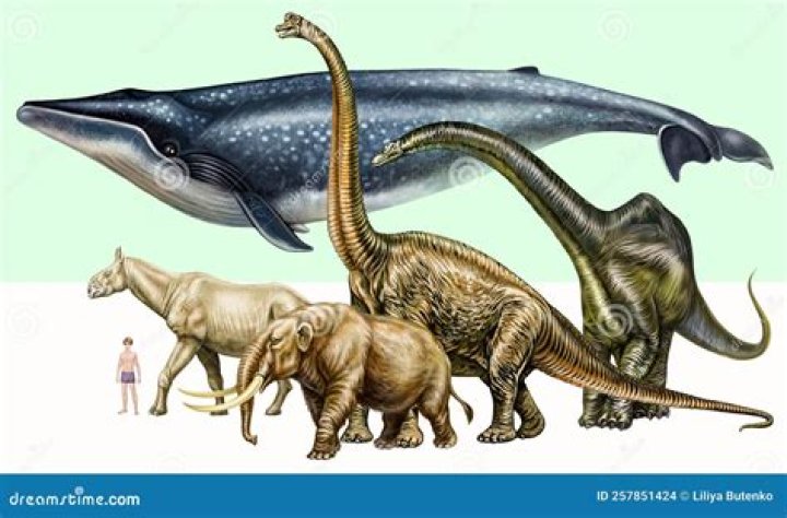 What dinosaur is bigger than a megalodon?