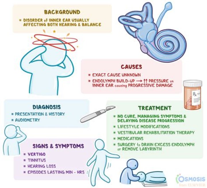 What disease causes tinnitus?