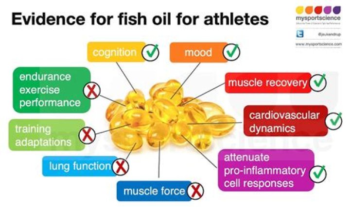 What does fish oil do for autism?