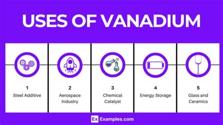 What does vanadium do to your body?