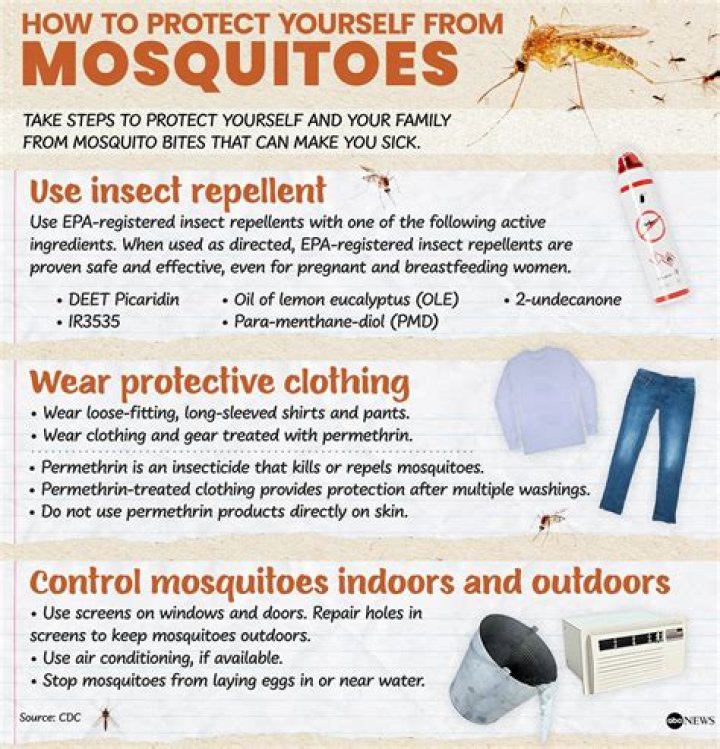 What household item kills mosquitoes?