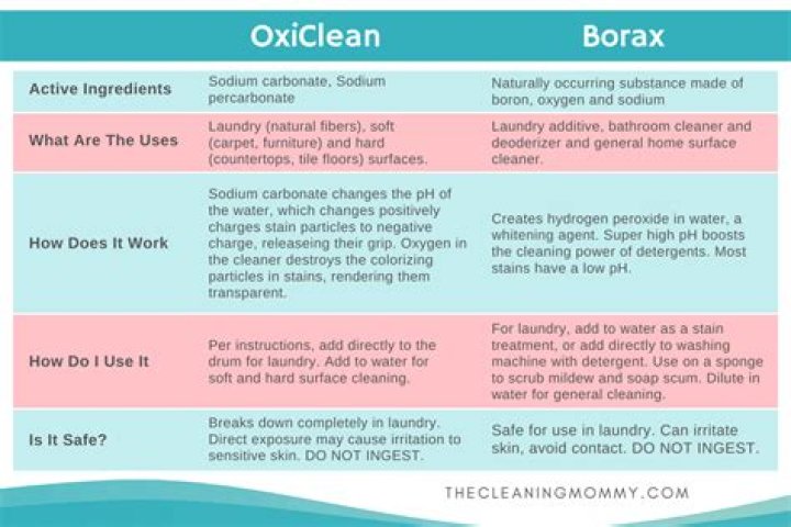What is the difference between borax and OxiClean?