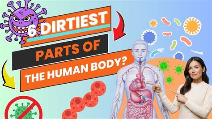 What is the dirtiest part of the body?