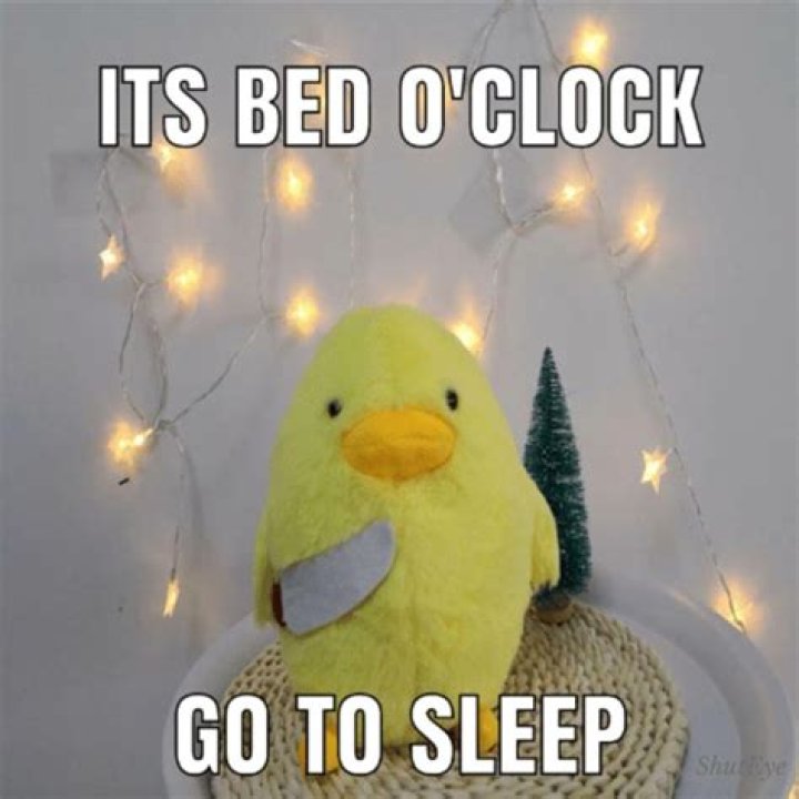 What time do bats go back to sleep?