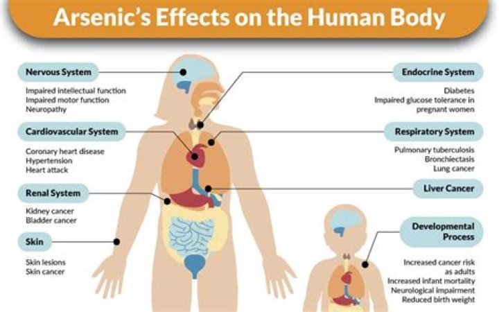 Who died from arsenic poisoning?