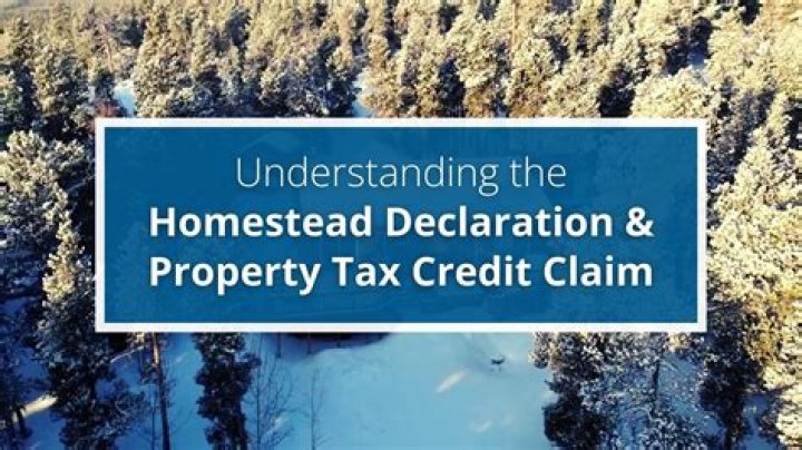 Who qualifies for homestead property tax credit in Michigan?