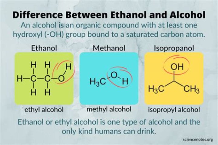 Why can we drink ethanol and not methanol?